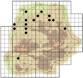 Sterculia rogersii Waterberg distribution